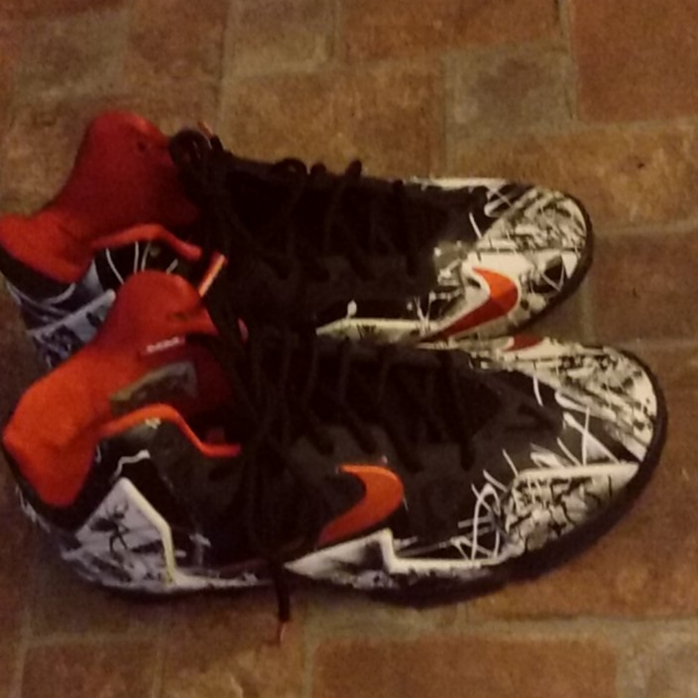 LeBron James shoes